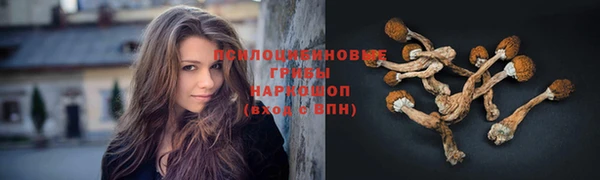 амф Зеленокумск