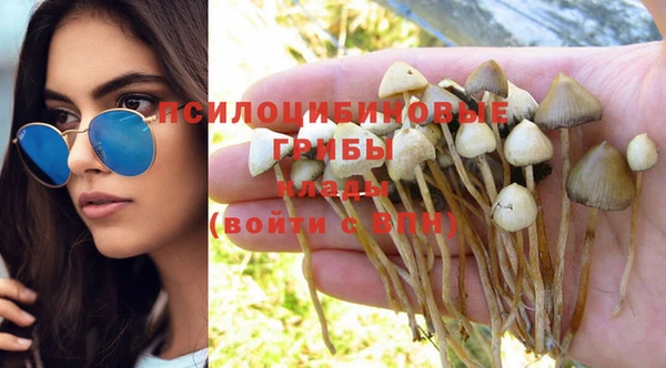 таблы Зерноград