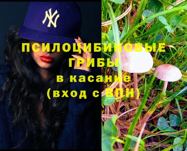 амф Зеленокумск